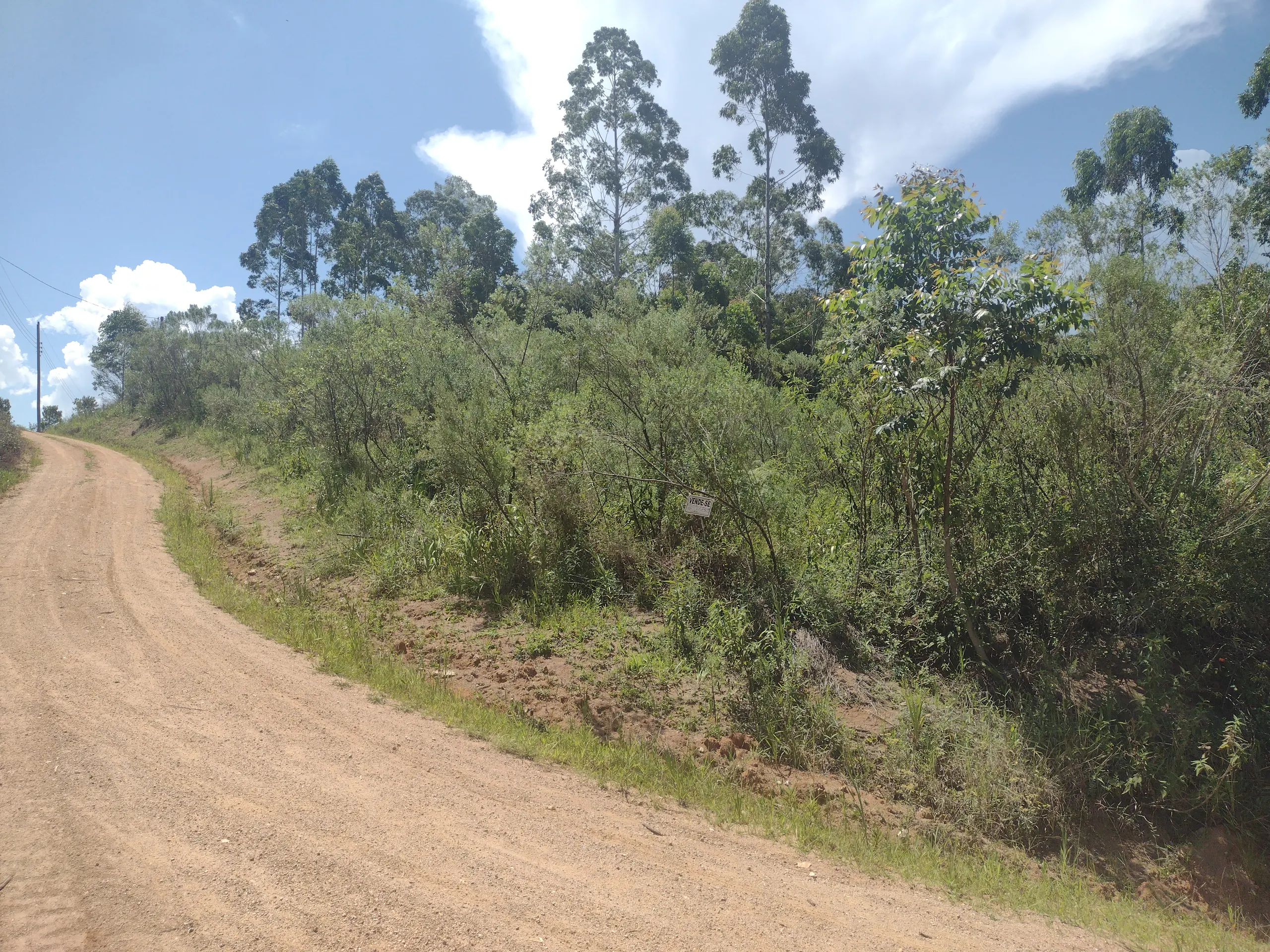 Terreno à venda de 4 ha em Pedras Grandes, SC, Brasil