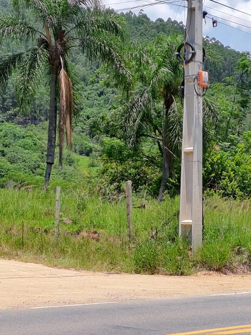Terreno à venda de 4 ha em Pedras Grandes, SC, Brasil