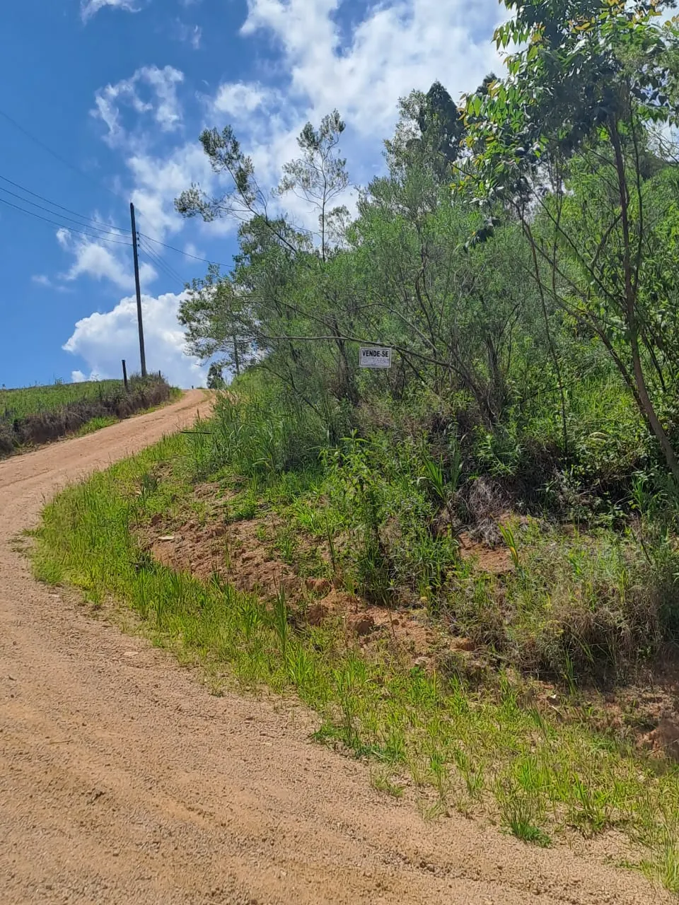 Terreno à venda de 4 ha em Pedras Grandes, SC, Brasil