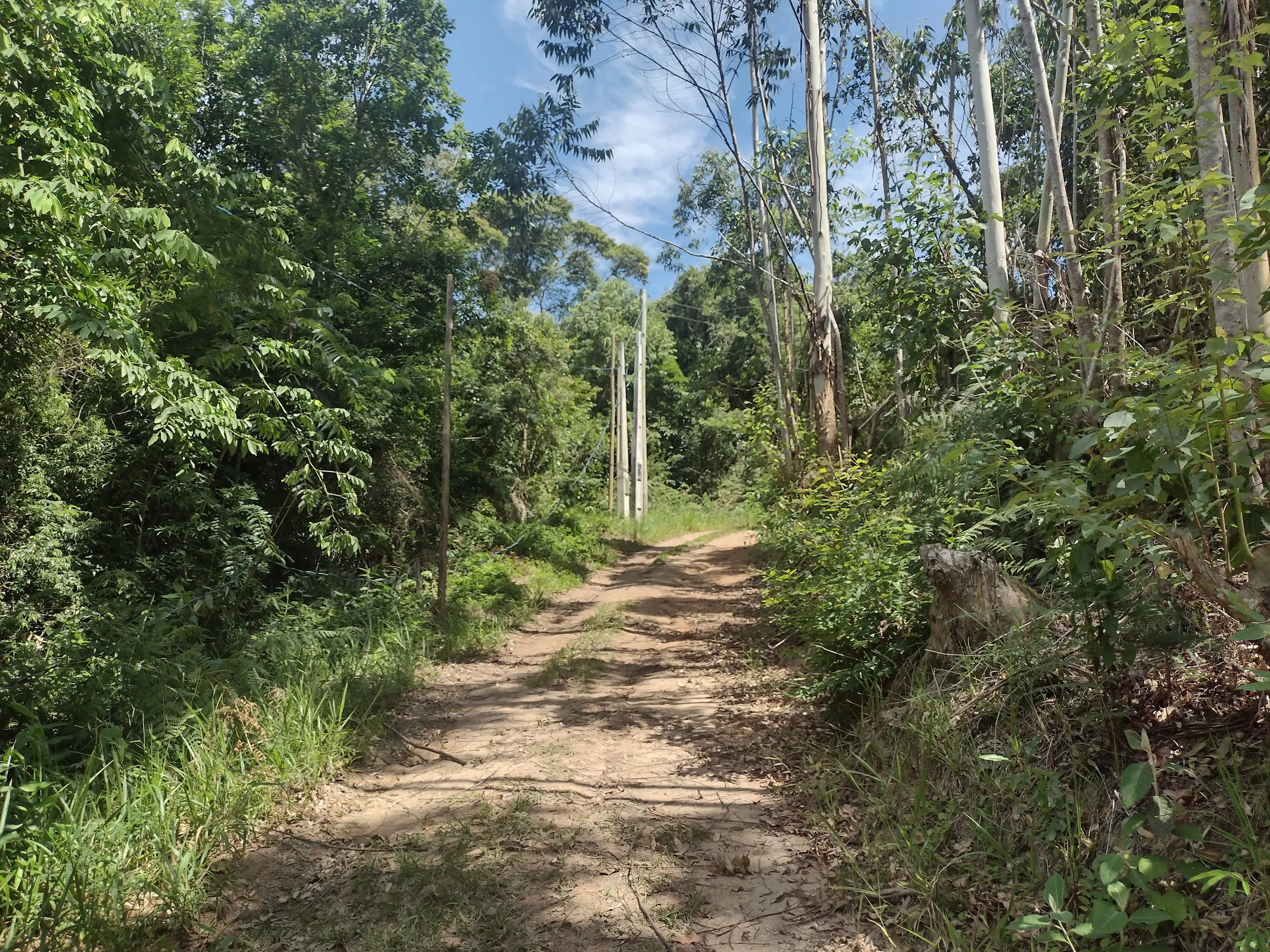 Terreno à venda de 4 ha em Pedras Grandes, SC, Brasil