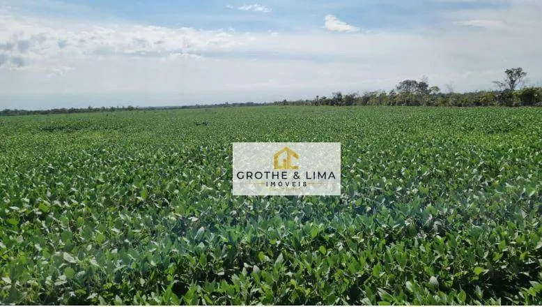 Fazenda à venda de 4.033 ha em CanaBrava do Norte, MT, Brasil