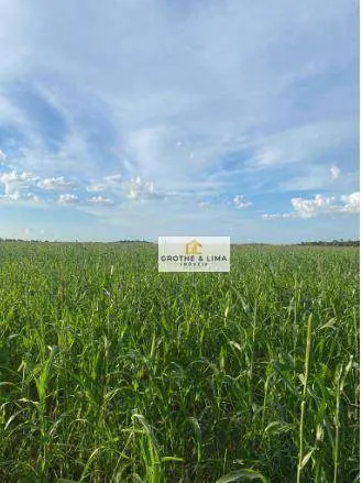 Fazenda à venda de 4.033 ha em CanaBrava do Norte, MT, Brasil