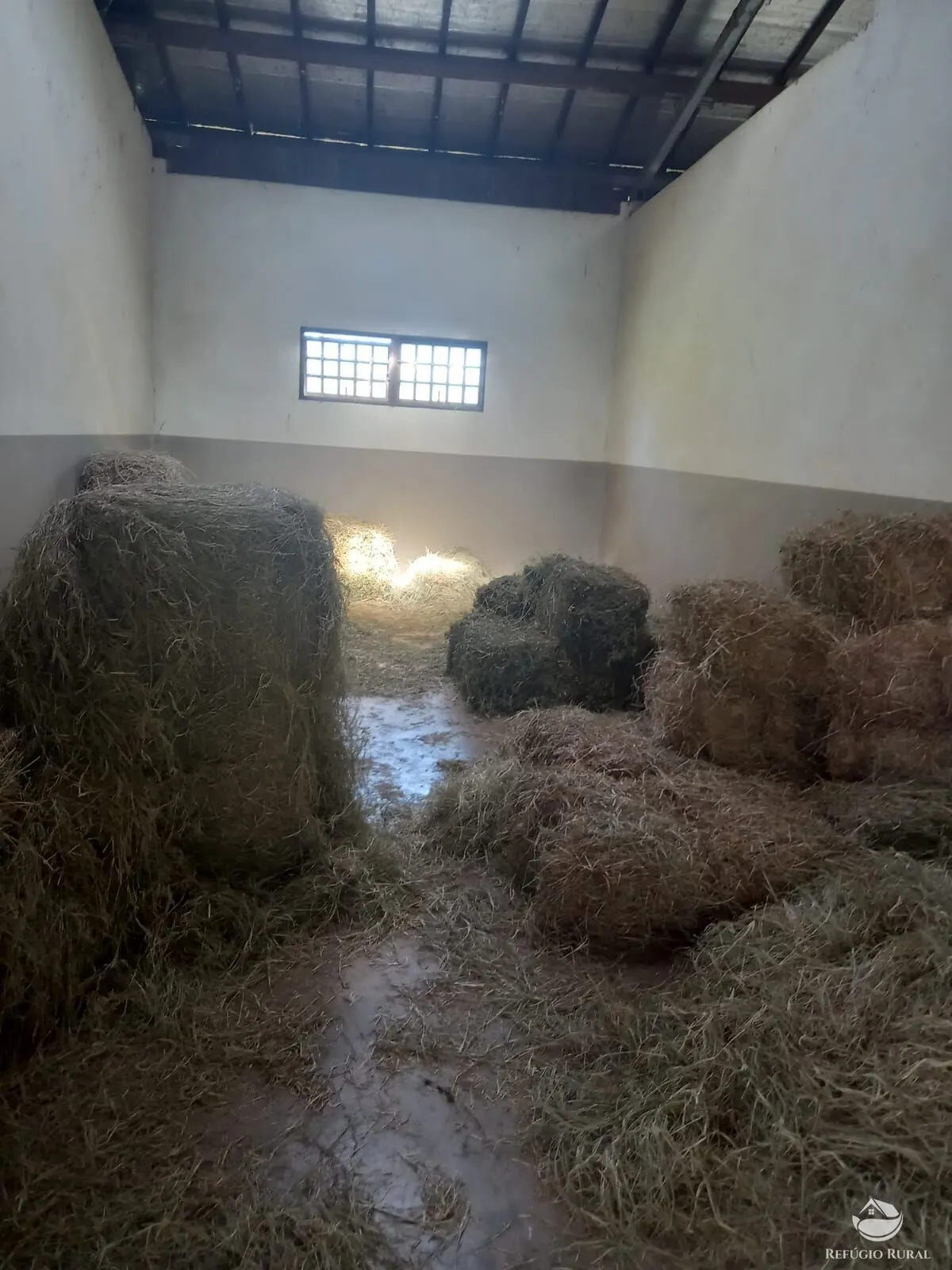 Small farm for sale of 24 acres in Caçapava, SP, Brazil