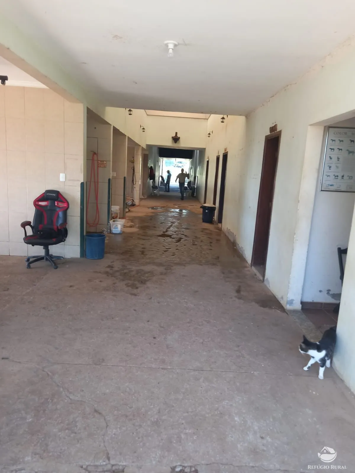 Small farm for sale of 24 acres in Caçapava, SP, Brazil
