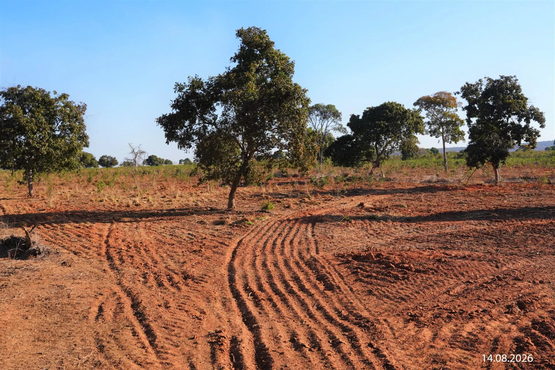 Fazenda à venda de 734 ha em Buritizeiro, MG, Brasil