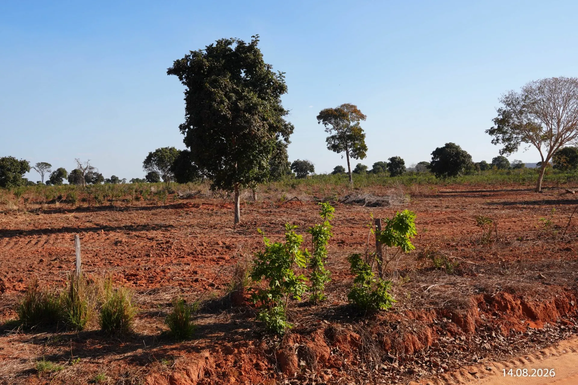 Fazenda à venda de 734 ha em Buritizeiro, MG, Brasil