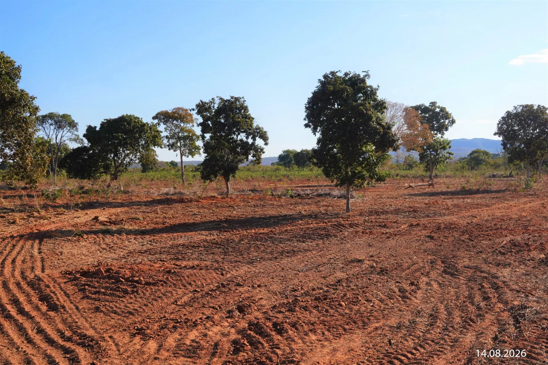 Fazenda à venda de 734 ha em Buritizeiro, MG, Brasil
