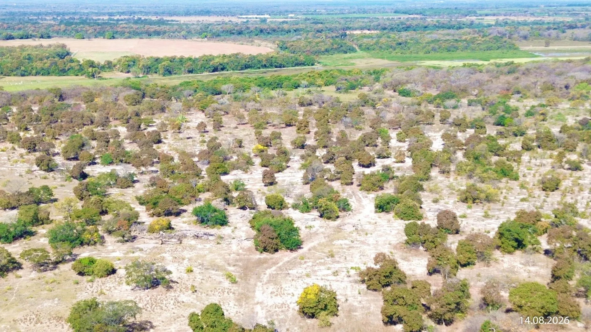 Fazenda à venda de 734 ha em Buritizeiro, MG, Brasil
