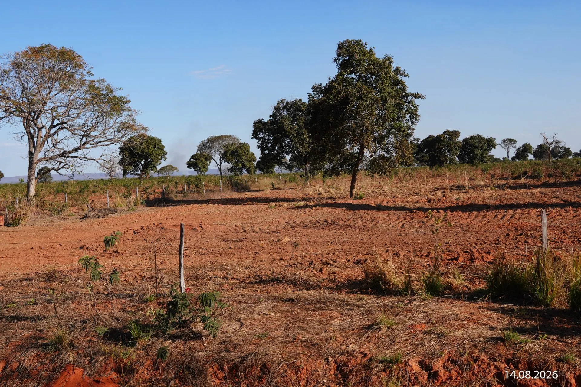 Fazenda à venda de 734 ha em Buritizeiro, MG, Brasil