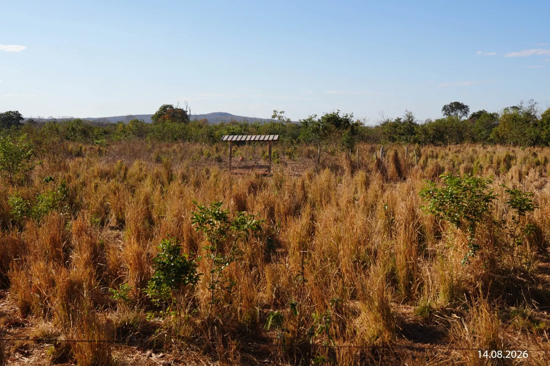 Fazenda à venda de 734 ha em Buritizeiro, MG, Brasil