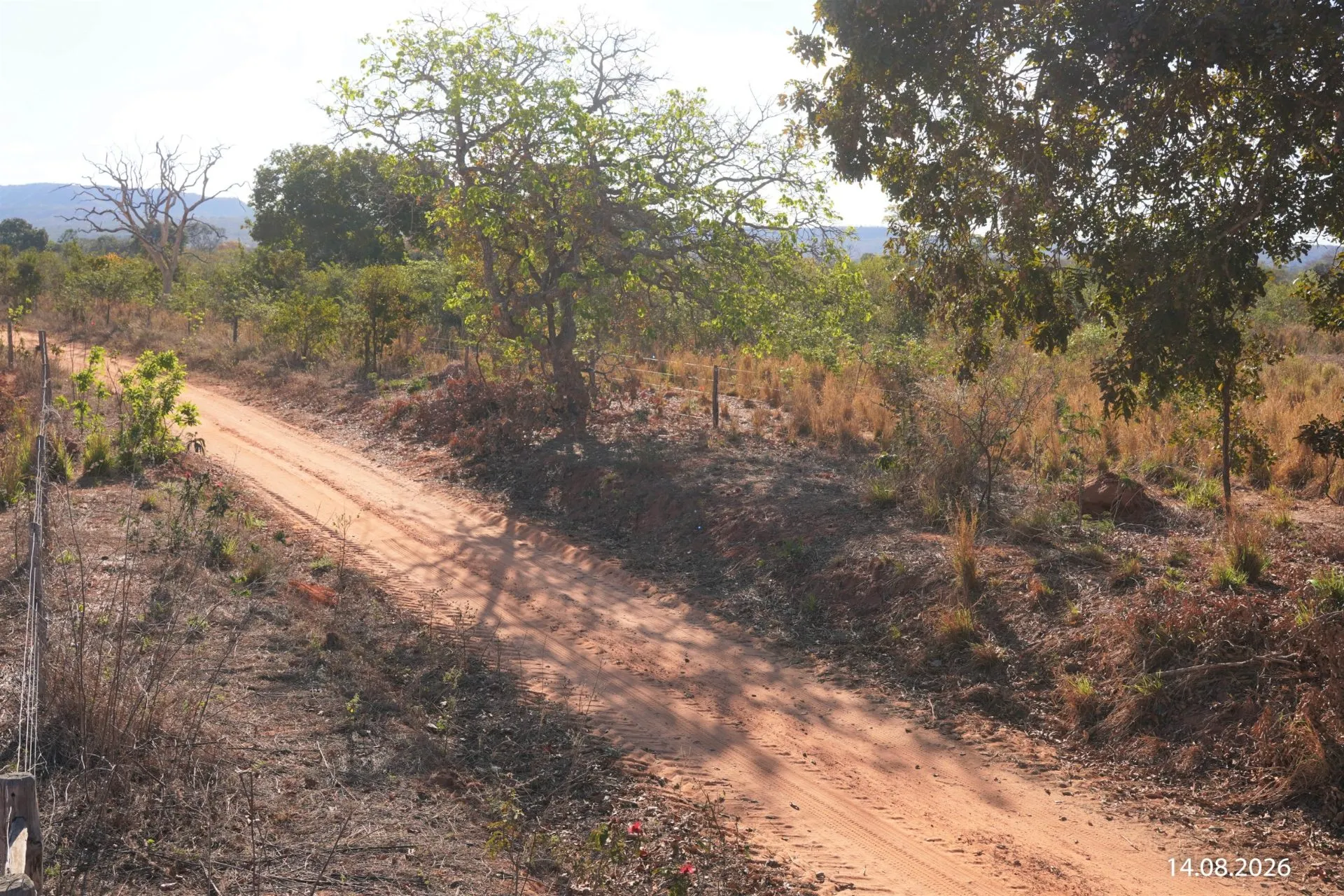 Fazenda à venda de 734 ha em Buritizeiro, MG, Brasil