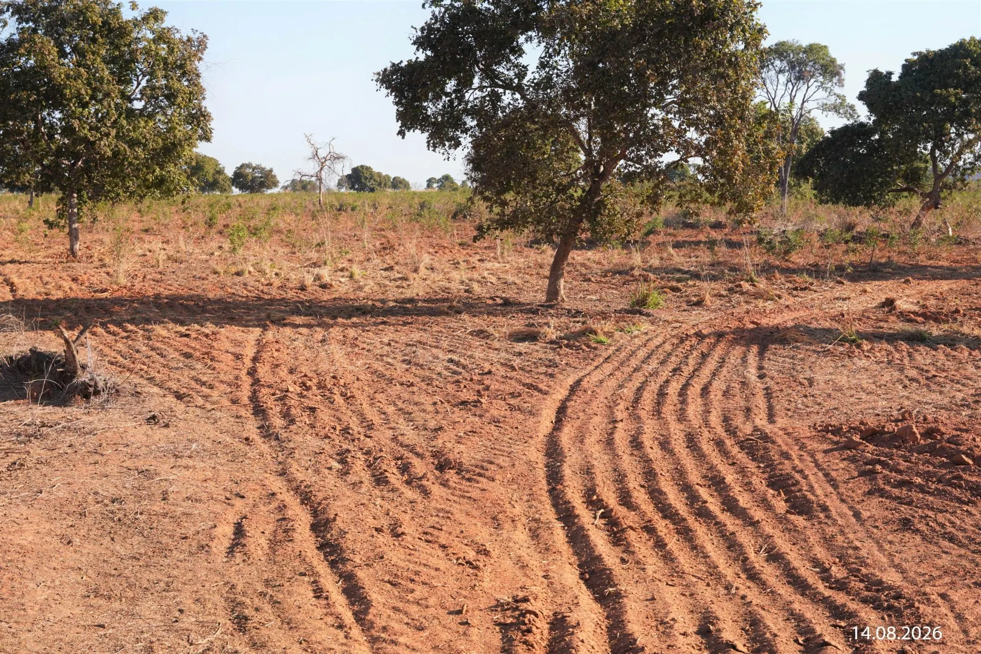 Fazenda à venda de 734 ha em Buritizeiro, MG, Brasil
