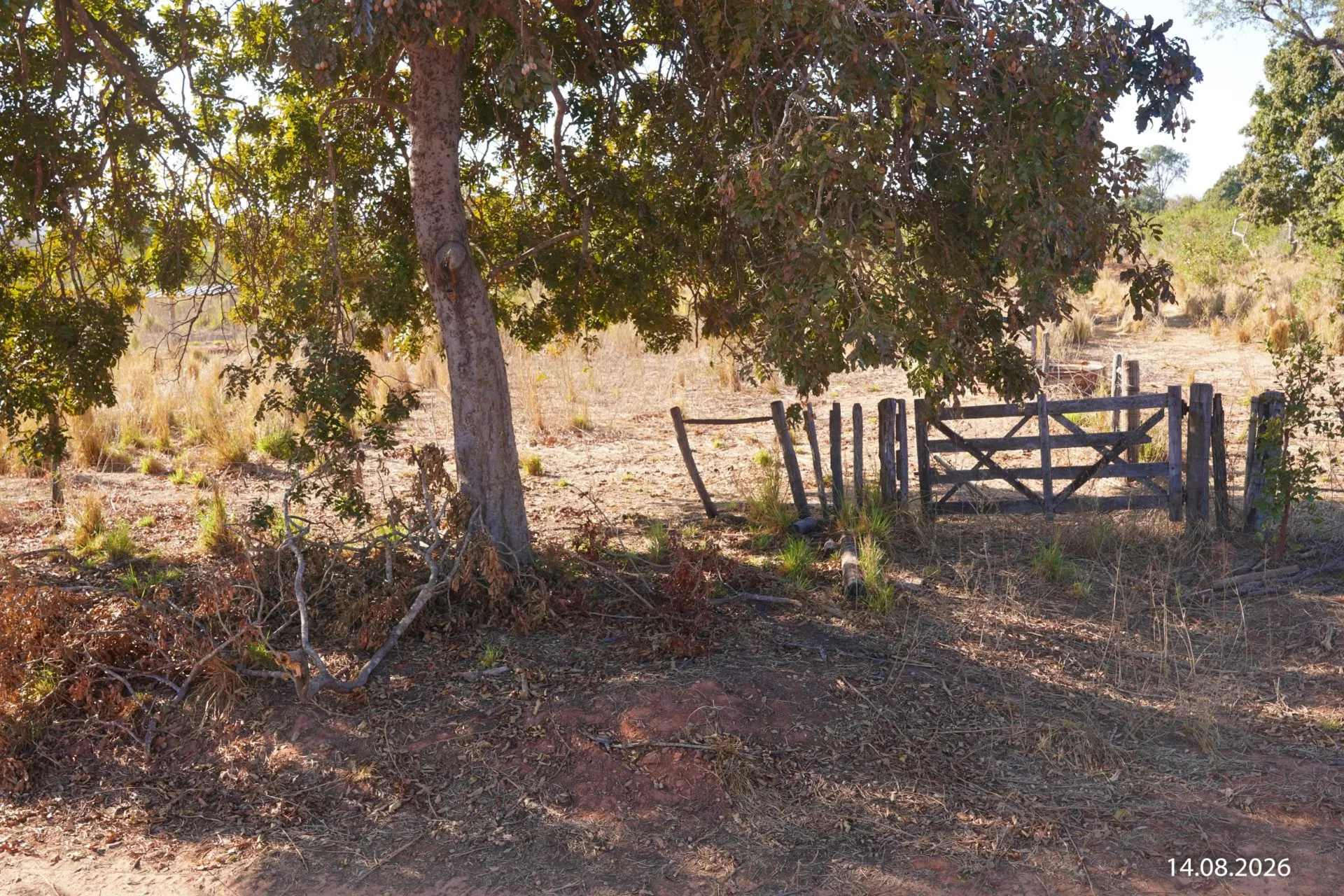 Fazenda à venda de 734 ha em Buritizeiro, MG, Brasil