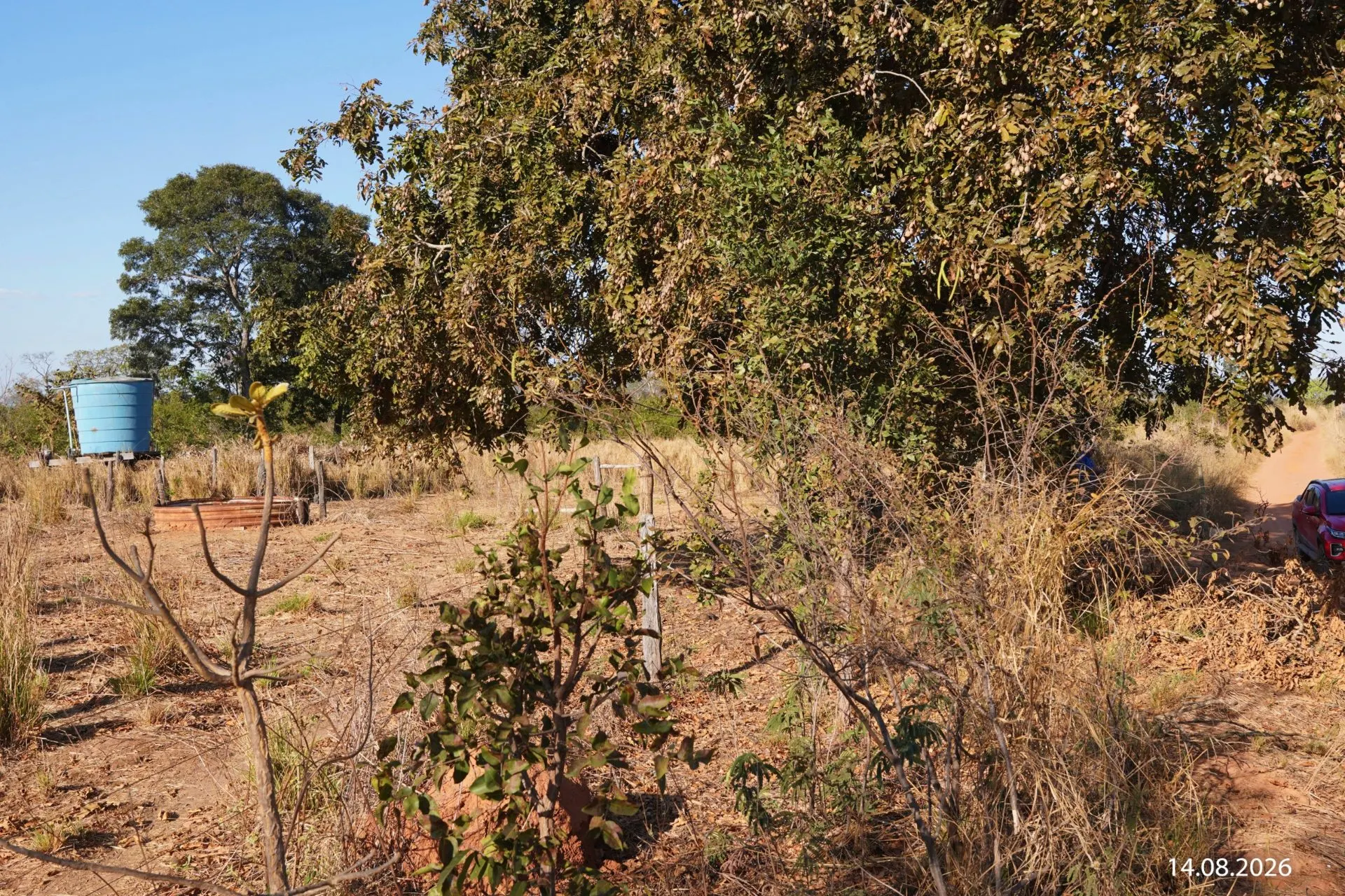 Fazenda à venda de 734 ha em Buritizeiro, MG, Brasil
