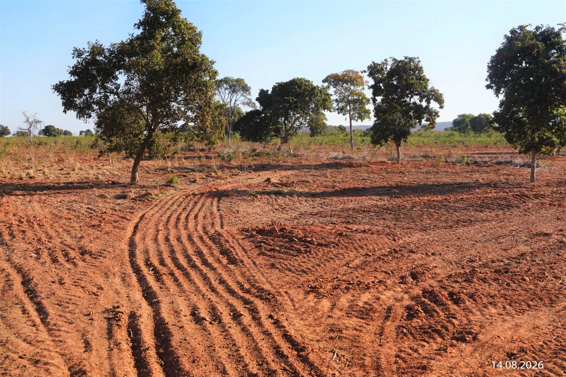 Fazenda à venda de 734 ha em Buritizeiro, MG, Brasil