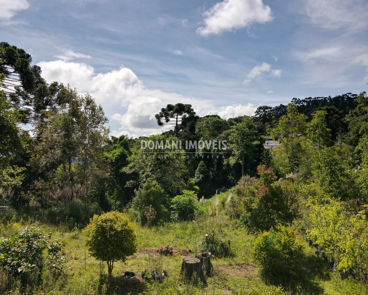 Plot for sale of 4 acres in Campos do Jordão, SP, Brazil