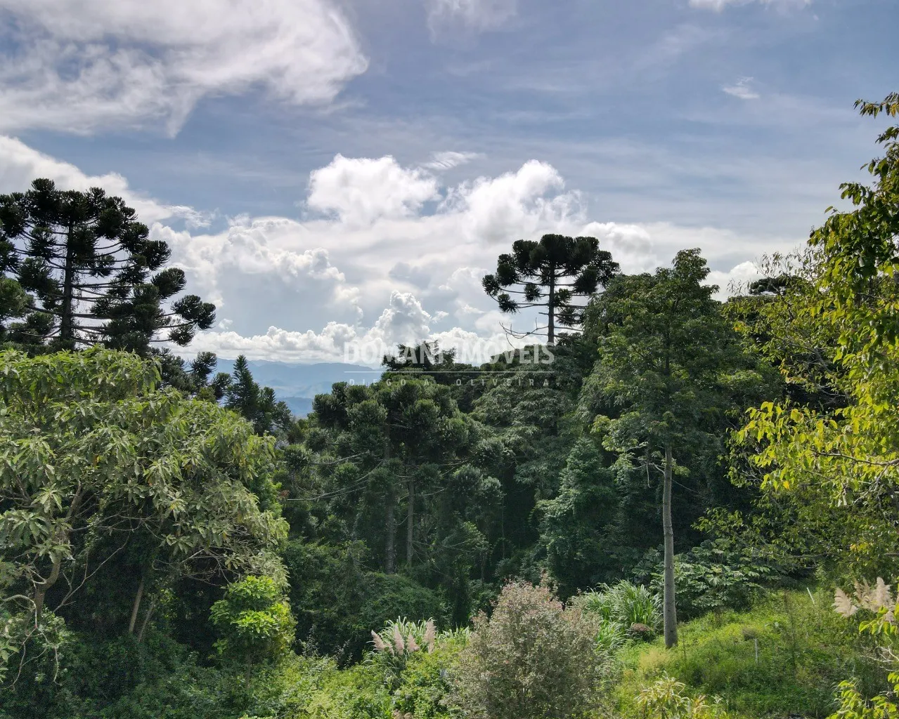 Plot for sale of 4 acres in Campos do Jordão, SP, Brazil