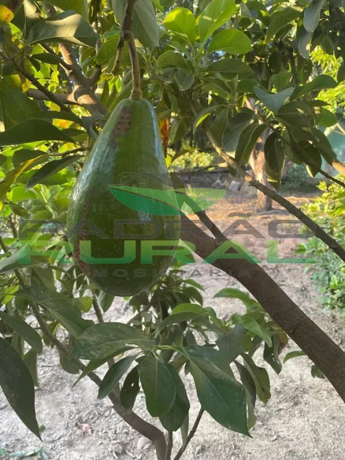 Chácara à venda de 1.200 m² em Mairinque, SP, Brasil