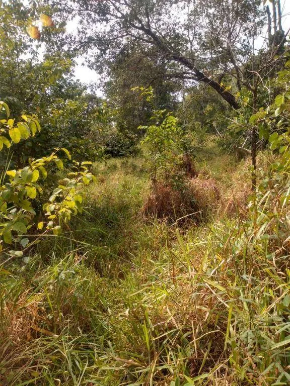 Farm for sale of 593 acres in Tesouro, MT, Brazil