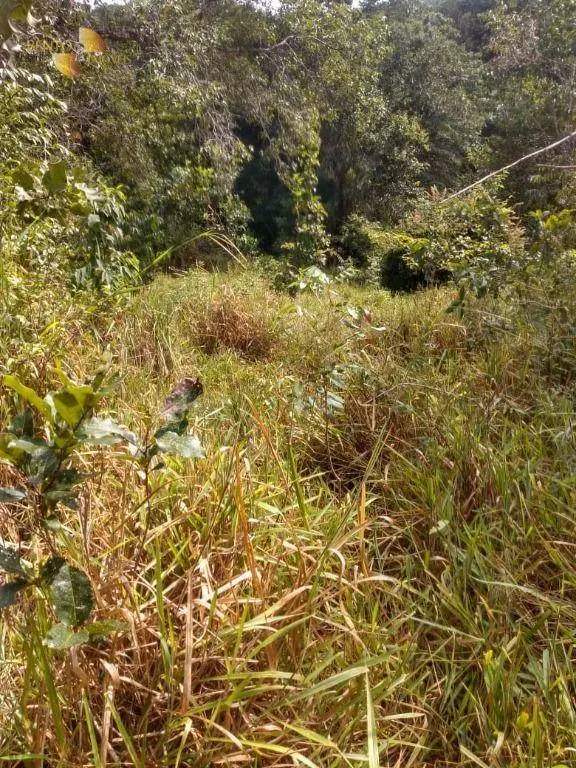 Farm for sale of 593 acres in Tesouro, MT, Brazil