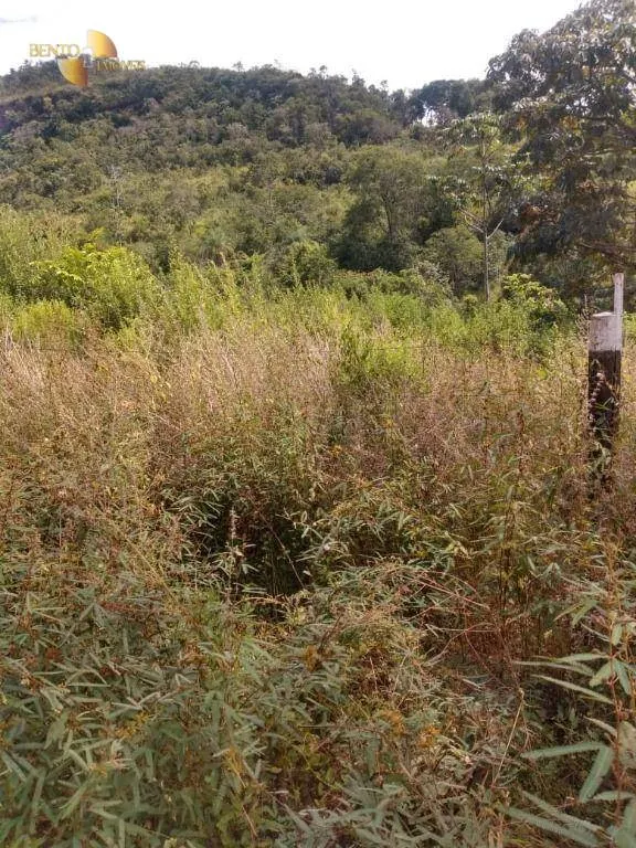 Farm for sale of 593 acres in Tesouro, MT, Brazil