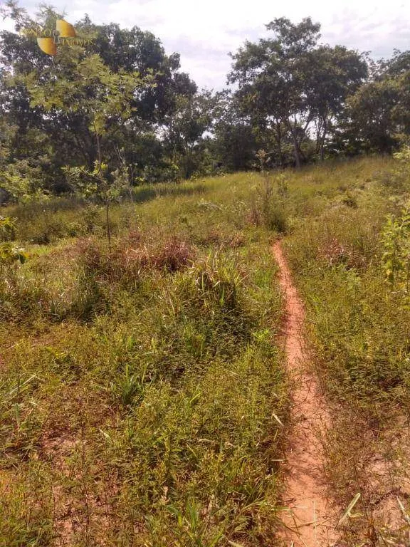Fazenda à venda de 240 ha em Tesouro, MT, Brasil