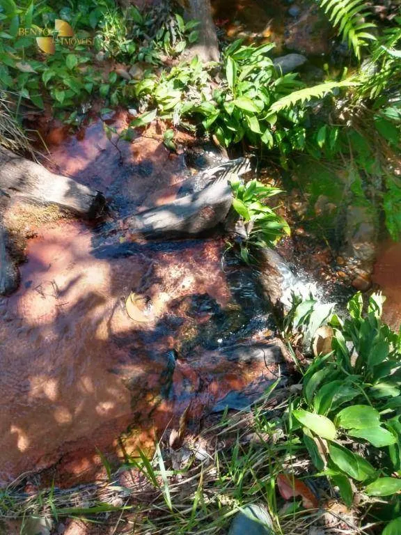 Farm for sale of 593 acres in Tesouro, MT, Brazil