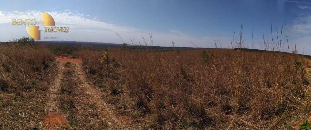 Fazenda à venda de 1.210 ha em Primavera do Leste, MT, Brasil