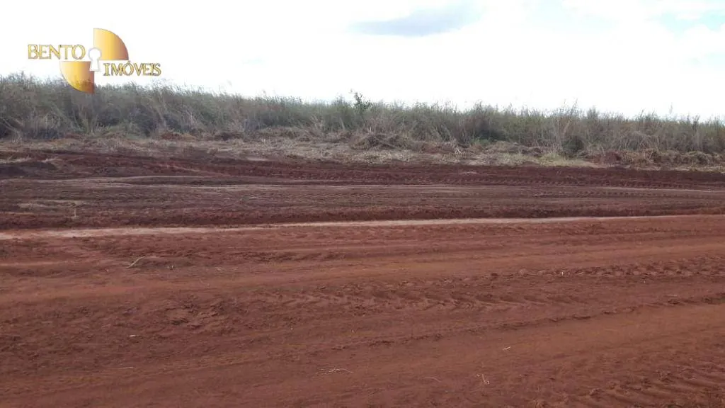 Fazenda à venda de 1.210 ha em Primavera do Leste, MT, Brasil