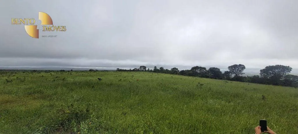 Fazenda à venda de 1.210 ha em Primavera do Leste, MT, Brasil