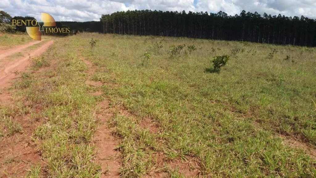Fazenda à venda de 1.210 ha em Primavera do Leste, MT, Brasil