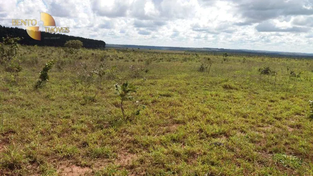 Fazenda à venda de 1.210 ha em Primavera do Leste, MT, Brasil