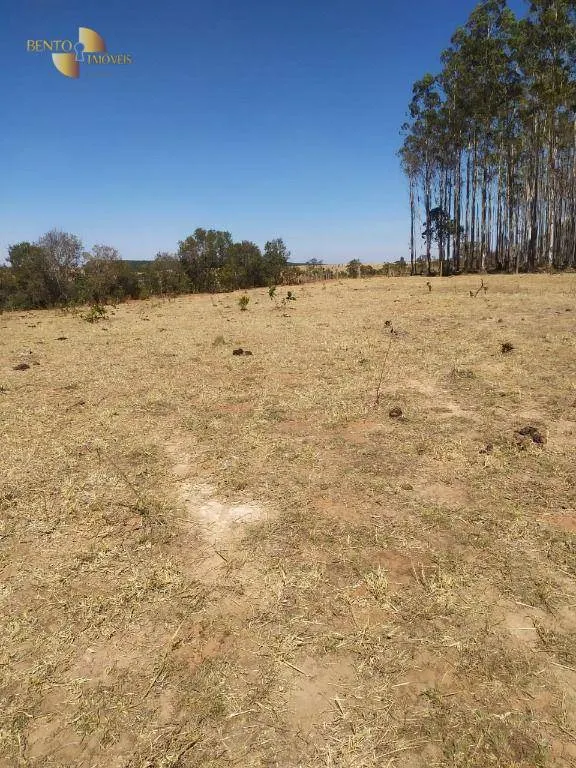 Fazenda à venda de 1.210 ha em Primavera do Leste, MT, Brasil
