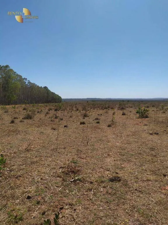 Fazenda à venda de 1.210 ha em Primavera do Leste, MT, Brasil