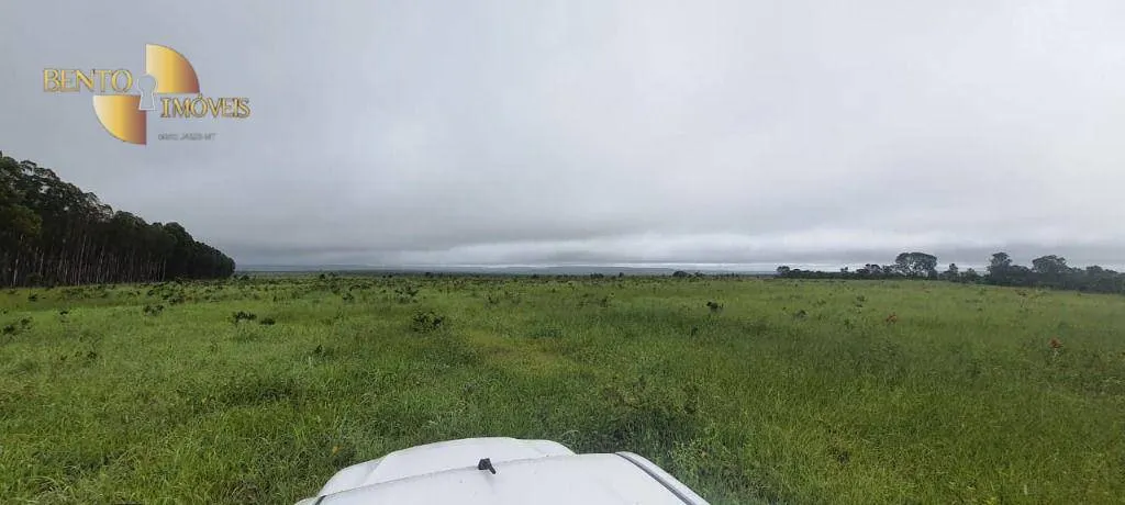 Fazenda à venda de 1.210 ha em Primavera do Leste, MT, Brasil
