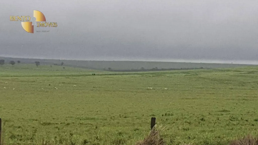 Fazenda à venda de 1.210 ha em Primavera do Leste, MT, Brasil