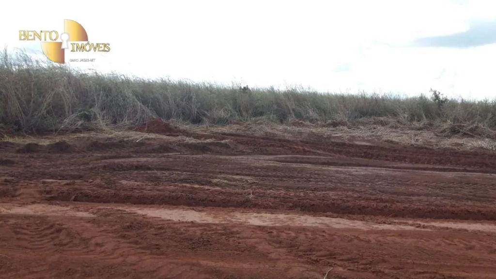 Fazenda à venda de 1.210 ha em Primavera do Leste, MT, Brasil