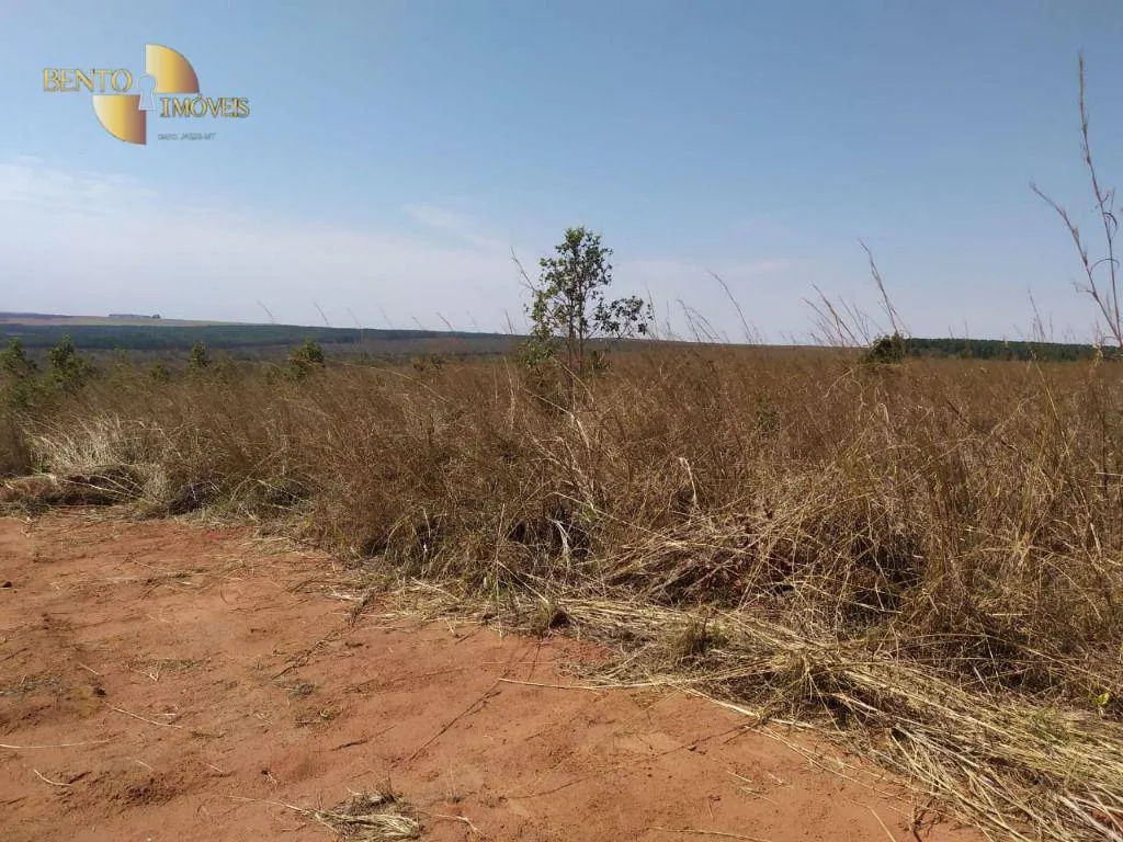 Fazenda à venda de 1.210 ha em Primavera do Leste, MT, Brasil