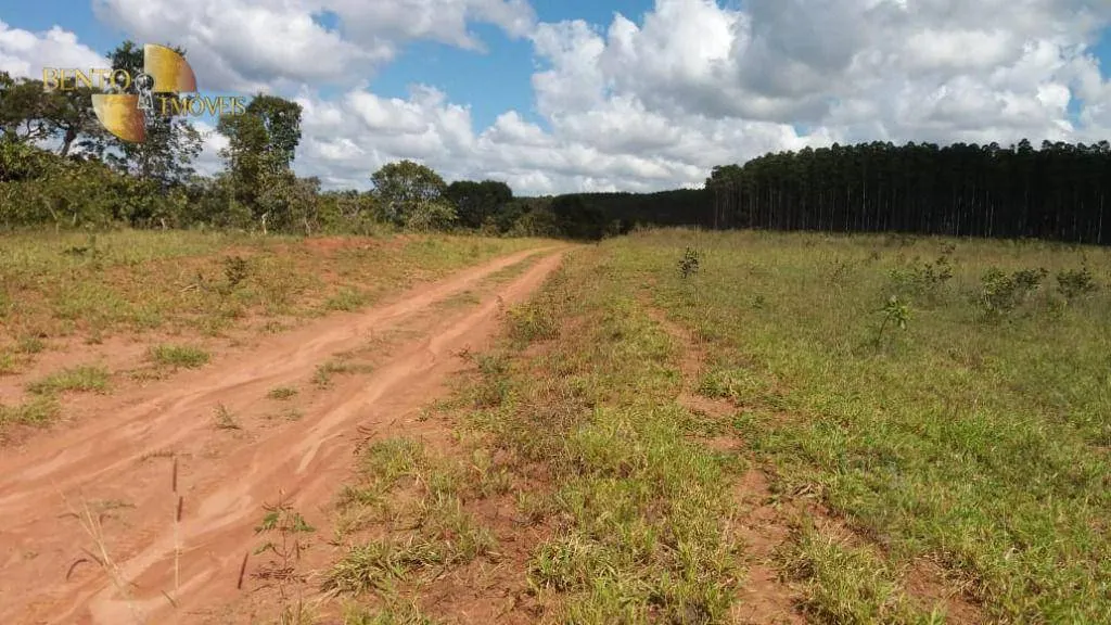 Fazenda à venda de 1.210 ha em Primavera do Leste, MT, Brasil