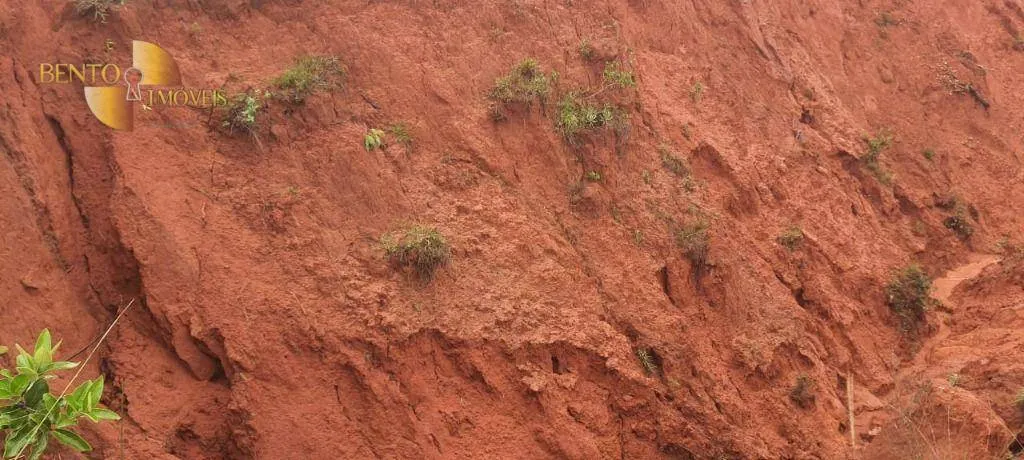 Fazenda à venda de 1.210 ha em Primavera do Leste, MT, Brasil