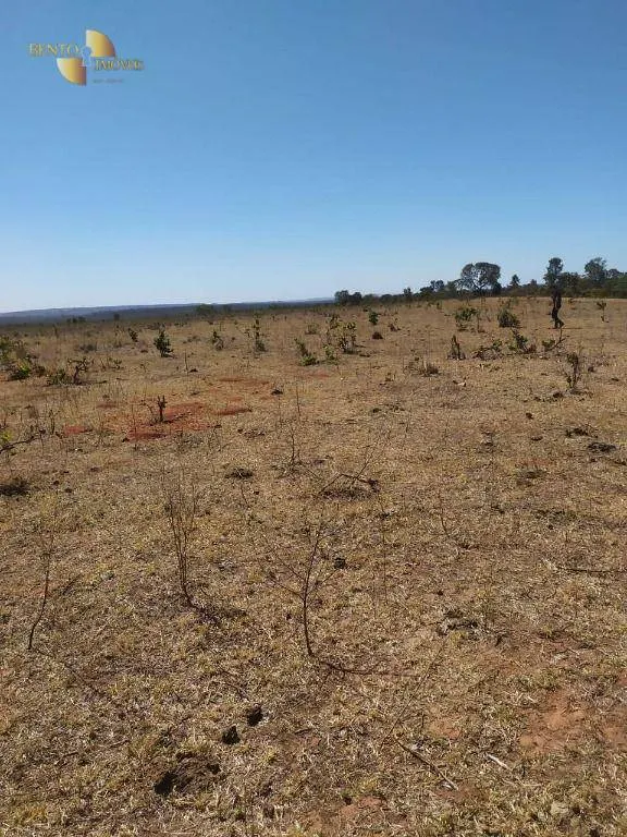 Fazenda à venda de 1.210 ha em Primavera do Leste, MT, Brasil