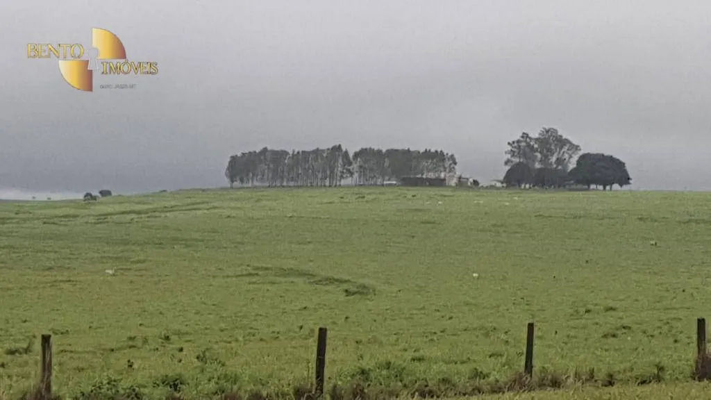 Fazenda à venda de 1.210 ha em Primavera do Leste, MT, Brasil