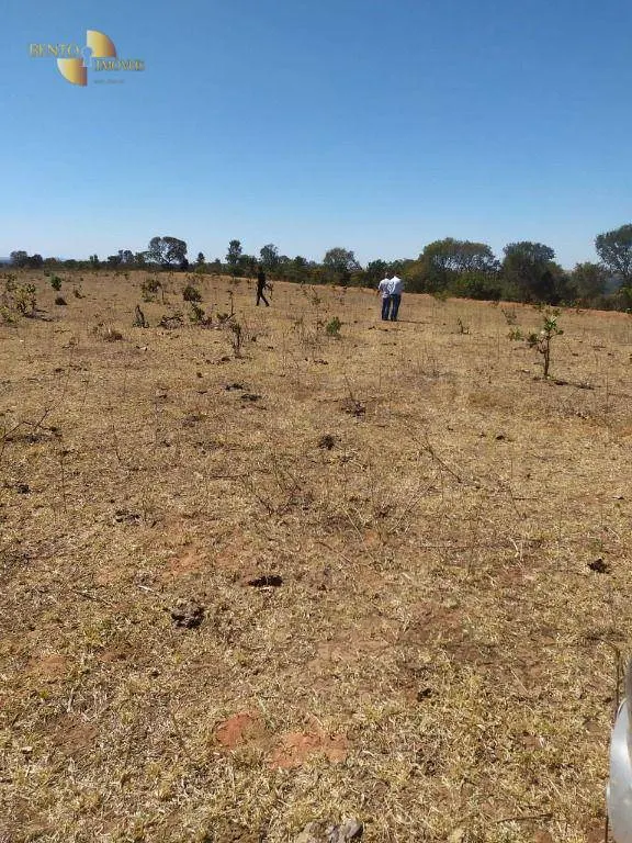 Fazenda à venda de 1.210 ha em Primavera do Leste, MT, Brasil