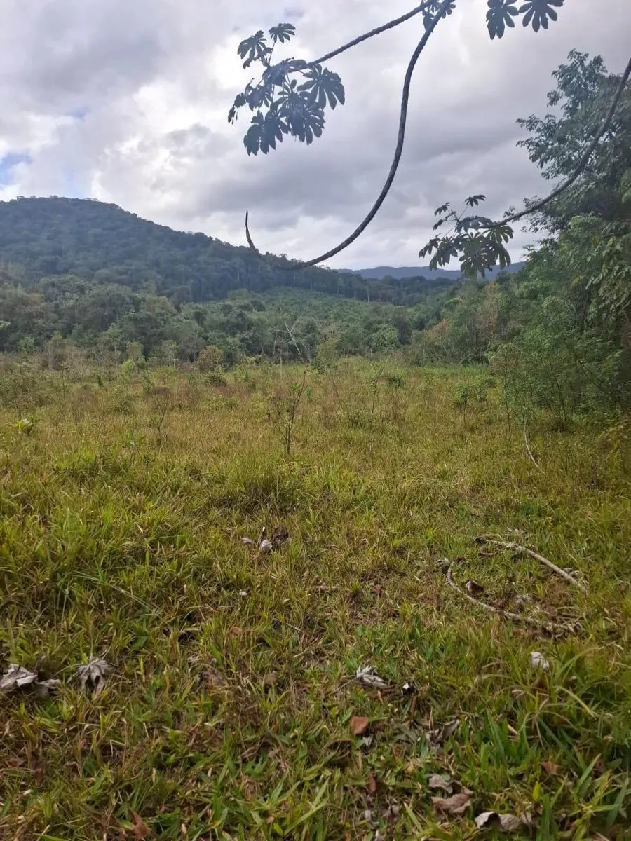 Fazenda à venda de 157 ha em Eldorado, SP, Brasil