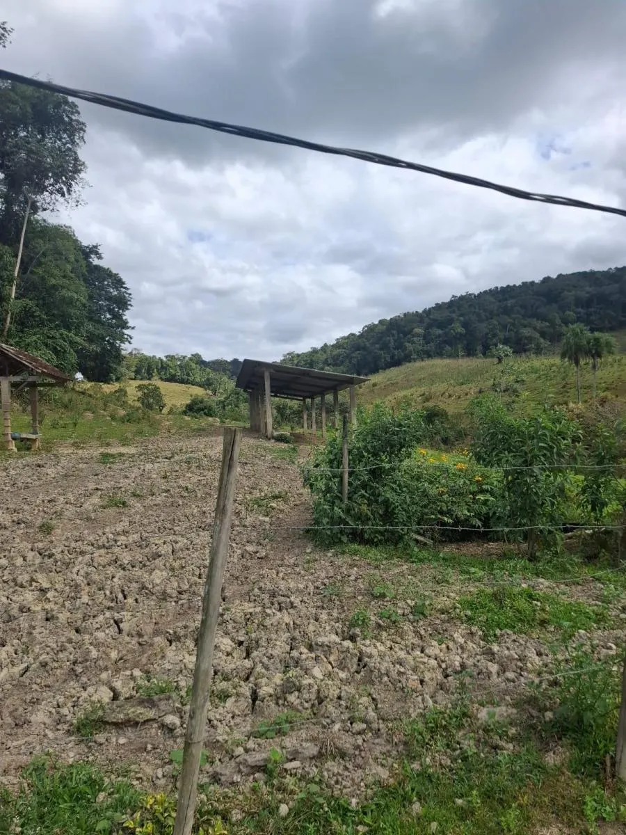 Fazenda à venda de 157 ha em Eldorado, SP, Brasil