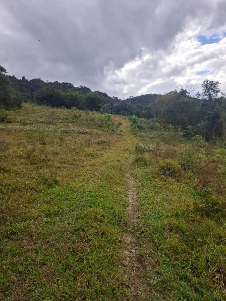 Fazenda à venda de 157 ha em Eldorado, SP, Brasil