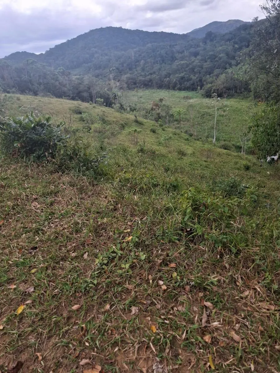 Fazenda à venda de 157 ha em Eldorado, SP, Brasil