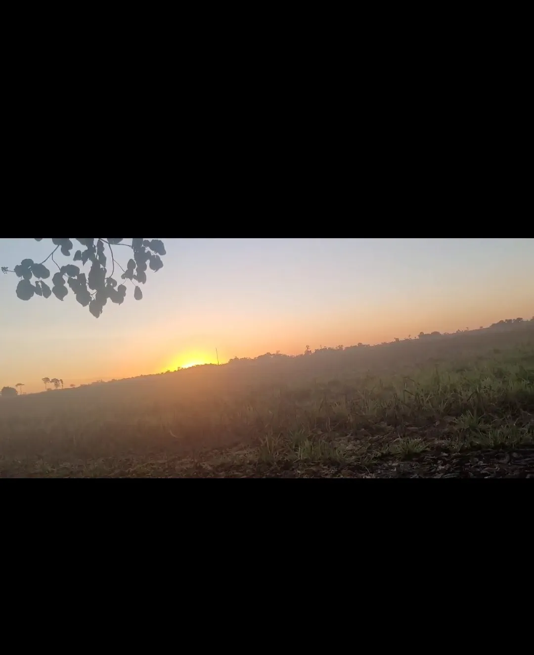 Sítio à venda de 25 ha em Marcelândia, MT, Brasil