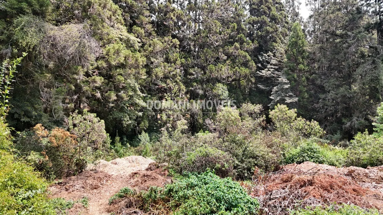 Plot for sale of 5 acres in Campos do Jordão, SP, Brazil