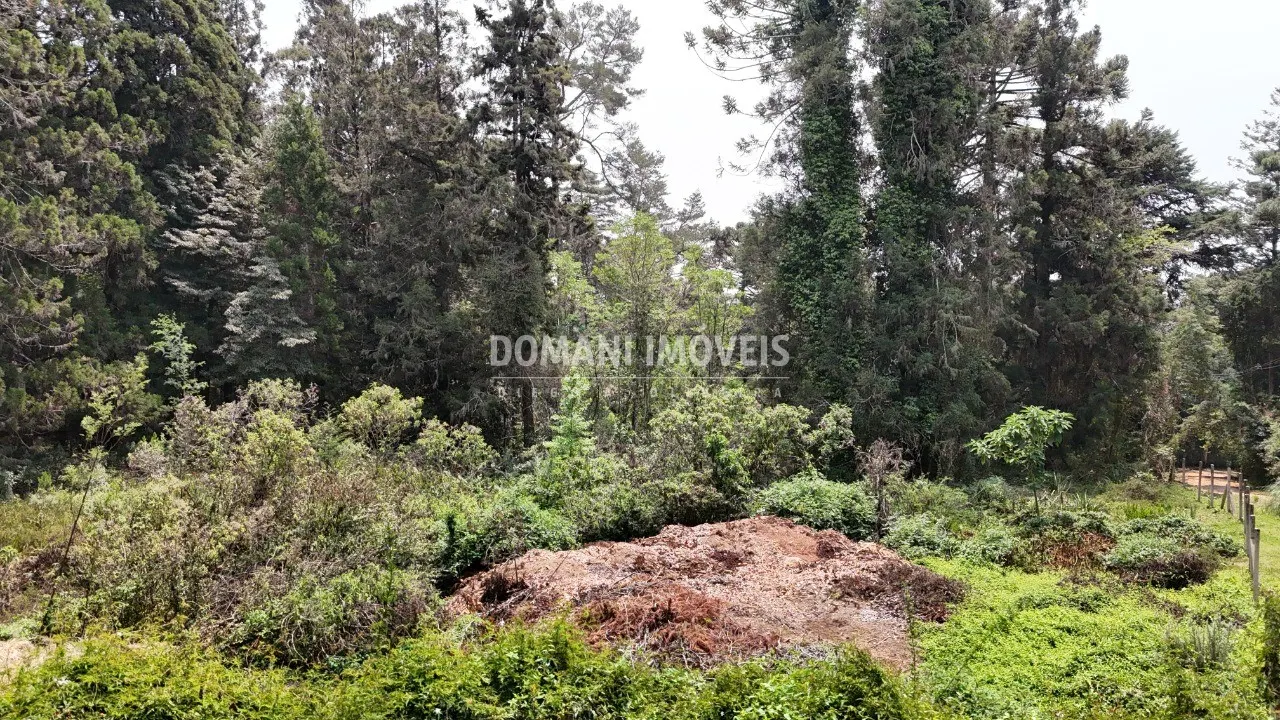 Plot for sale of 5 acres in Campos do Jordão, SP, Brazil